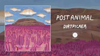 Post Animal - Dirtpicker [OFFICIAL AUDIO]