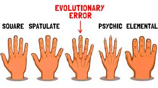 What Your Ancestors Hand Shape Reveals About You