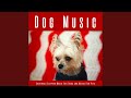 Dog Music