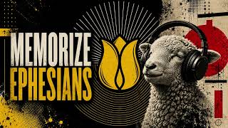 Memorize Ephesians All Chapters