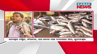 Odisha people Celebrates Actual Chadakhai Today On Wednesday | Huge Crowd Seen At NonVeg Market