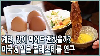 콜레스테롤의 누명_미국, 일본의 콜레스테롤 연구 (KBS_559회_2015.10.28 방송)