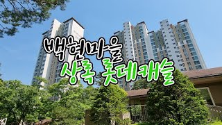 [#17 아파트 소개] 조용하고 자연환경이 뛰어난 백현마을 상록롯데캐슬