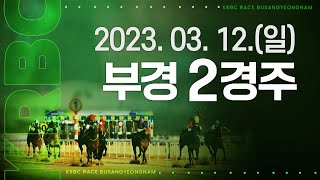 (부산)'23.3.12.2R 부진마 편성, 늦었던 베르다 놀라운 추입승! 플레이더인디 아차 2위!