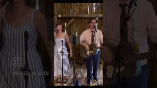 Electric Love Cover — Wedding Cocktail Hour August 2024