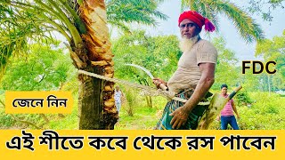 শীতে খেজুর গাছ কেটে রস সংগ্রহ । খেজুর গাছ কাটার পদ্ধতি । গাজীপুর