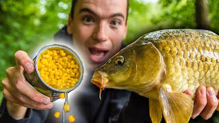 How To Catch Carp With Corn! (Easy and cheap bait for carp fishing)