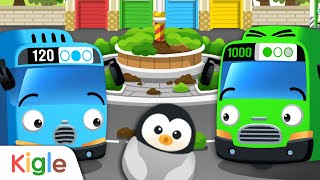 ペンギンをさがせ | Find the baby penguin | 英語の勉強 | はたらくくるま、パトカー、消防車、のりもの、CAR, BUS, GAME | KIGLE TV - キッズおもちゃ