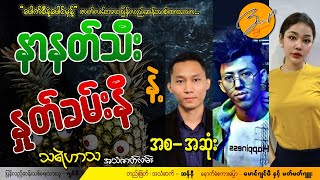 နာနတ်သီးနဲ့ နှုတ်ခမ်းနီ |  သရဲဟာသ အသံဇာတ်လမ်း - အစအဆုံး