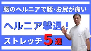 腰の椎間板ヘルニアで腰やお尻が痛む時に痛みを撃退するストレッチ