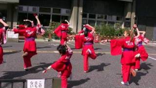 東京マラソン2011　応援演舞　踊り屋MIX①