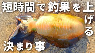 【エギング】釣れないと困っている方へ