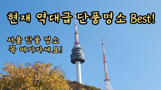 가을 단풍명소 긴말안합니다 현시각 제일 이쁜곳 24년 단풍 명소 베스트 천천히 산책영상 보실분만 보세요!! 서울에서 제일 핫한 단풍명소 가기!