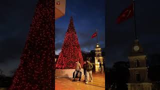 🎄Christmas Trees in ISTANBUL- 4k Walking Tour #keşfet #christmas #istanbul4k #christmasturkey