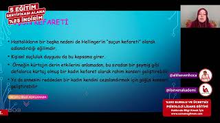 İLSEVEN AKADEMİ  - AİLE DİZİMİ EĞİTİMİ (2/5. BÖLÜM)