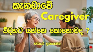 කැනඩාවේ Caregiver කෙනෙක් විදිහට යන්නෙ කොහොමද ?  හරියට දැනගන්න | කැනඩාවේ අපි | canada sinhala vlogs