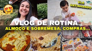 VLOG DO NOSSO DOMINGO - fazendo almoço e sobremesa, comprinhas de mercado e recebidos