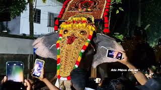 പാറശ്ശേരി ചെറിയേരികാവ് അയ്യപ്പൻ വിളക്ക്   വിളക്ക് പാർട്ടി ; ചേകന്നൂർ ചന്ദ്രൻ & പാർട്ടി | Elephants