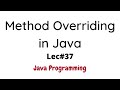 Method Overriding in Java with Solved Example