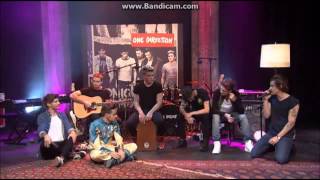 One Direction - Little Things - 1DDay November 23rd 2013 - Harry sings ''His Little Things''