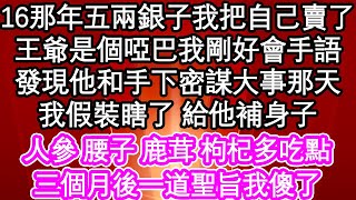 16那年五兩銀子我把自己賣了，王爺是個啞巴我剛好會手語，發現他和手下密謀大事那天，我假裝瞎了 給他補身子，人參 腰子 鹿茸 枸杞多吃點，三個月後一道聖旨我傻了| #為人處世#生活經驗#情感故事#養老