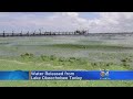 Lake Okeechobee Discharges Resumed Friday