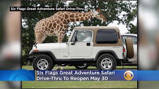 Six Flags Great Adventure Safari Drive-Thru To Reopen May 30, Advance Reservations Required