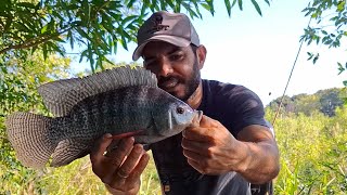 PESCARIA DE TILAPIA E TRAÍRA , ERA UMA MAIOR QUE A OUTRA/PESCAMOS E FRITAMOS O PEIXE NA BEIRA DO RIO