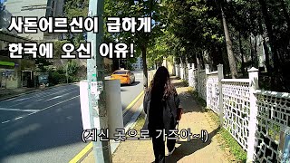 사돈어르신이 급하게 한국에 오신 이유!