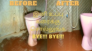 Magic of Earth Musk and HSR || Deep Cleaning Process