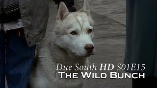 Due South HD - S01E15 - The Wild Bunch