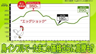 【“エッグショック”再び？】鳥インフルエンザの発生が急増  たまご価格さらに高騰も…