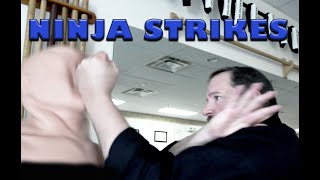 A few Taijutsu Strikes of Self-Defense to Practice