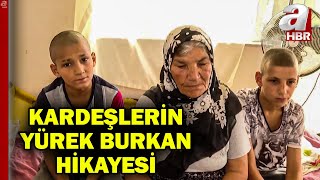 Kardeşlerin yürek burkan hikayesi! İki kardeş karton toplayarak babaannelerine bakıyor | A Haber