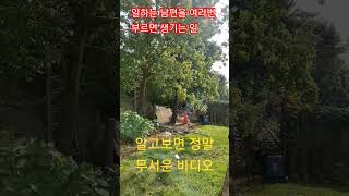 알고보면 정말 무서운 비디오(일하는 남편을 귀찮게 여러번 부르면 생기는 일)