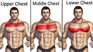 Middle Upper And Lower Chest Workout Gym - Bigger Chest