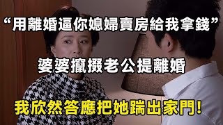 “用離婚逼你媳婦賣房給我拿錢”，婆婆攛掇老公提離婚，我欣然答應把她踹出家門 ！| 翠花的秘密