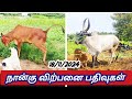 💕💐 நான்கு விற்பனை பதிவுகள் 💥🔥 #cow #agriculture