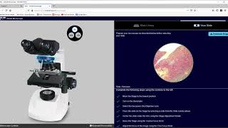 Using the V-Scope