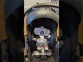 newborn baby zen yoyo video out today newborn babyzen cybex dad dadsadvice