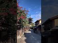 【京都旅行】朝の清水坂。誰も居ない世界があったらこんな感じなのかな。 shorts