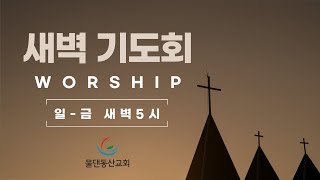 물댄동산교회 새벽예배 (240929)