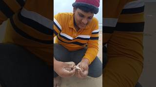 సముద్ర రొయ్యలు🍤 🦐 ఇలా తిన్నారా ఎప్పుడైనా? #seafood #ytshorts #shorts #shrimp #food #enjoy #beach