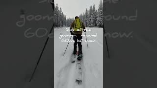 Snowshoes (TSL 226) vs Splitboard vs Snowboard boots.  Short comparison and overview.