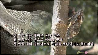 십만년의 사랑 / 정윤천, 낭송 : 김소희