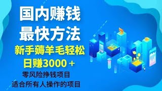 赚钱最快的灰色网赚创业方法 日赚3000+ 2023年你不可错过暴富机会！分享网上赚钱最快的方法，新手可做！