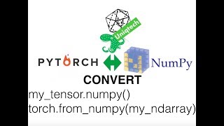 Pytorch convert torch tensor to numpy ndarray and numpy array to tensor