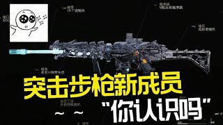 【使命召唤手游】突击步枪即将迎来新成员Krig6 #老安