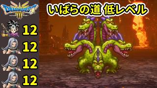 ドラクエ3 やまたのおろち1回目 いばらの道だぜ低レベル 最少戦闘勝利数しばり HD2Dリメイク