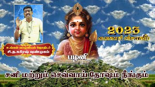 சனி மற்றும் செவ்வாய் தோஷம் நீங்கும் | palani | வைகாசி விசாகம் 2023 | Vaikasi visakam 2023